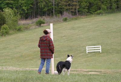 Renee Billadeau and Bette wait for their sheep to be set
