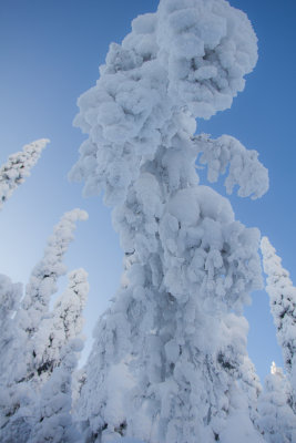 Snow and tree sculpture