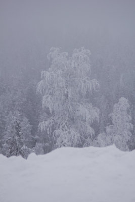 When the clouds arrived and made everything grey