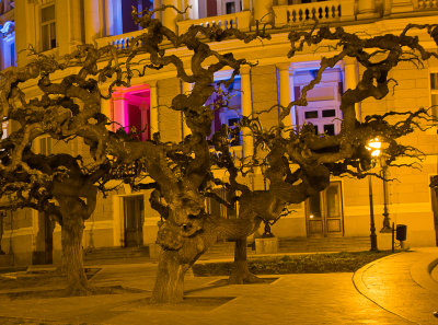 Treeptures infront of Odessa Opera