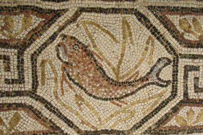 Mosaic detail, Heraklea