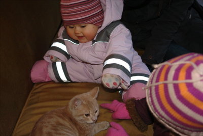 Cat, now named Nurr, in craftsmen yard