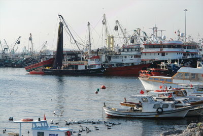 Harbour