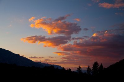 _MG_0604b.jpg