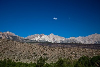 _MG_0620c.jpg