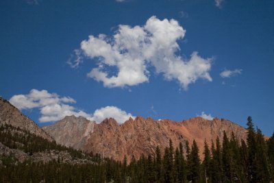 _MG_0678c.jpg