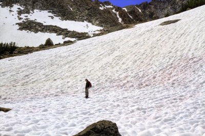 Snow field near Schober Lakes.jpg