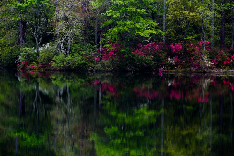 IMG_9639 Callaway Gardens Landscape Workshop.jpg