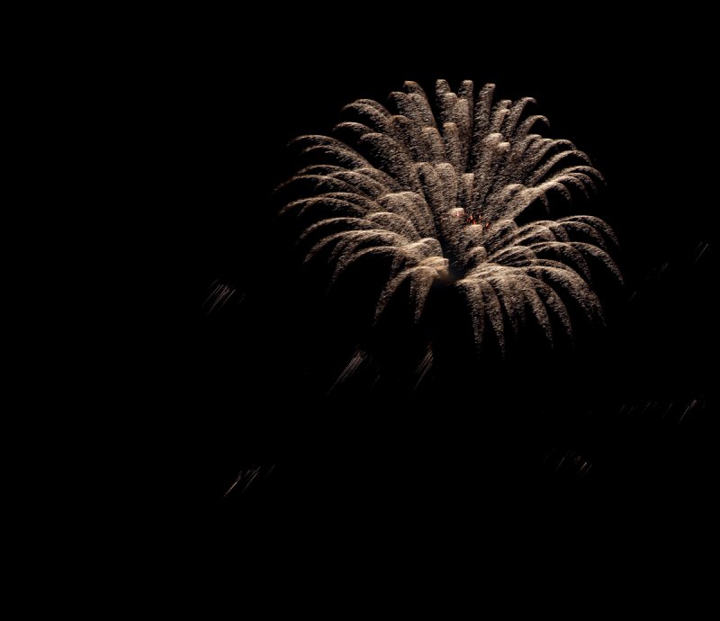 IMG_0494 Callaway Gardens Fireworks.jpg