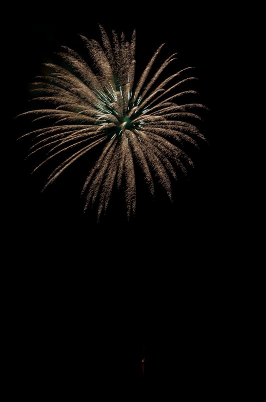 IMG_0510 Callaway Gardens Fireworks.jpg