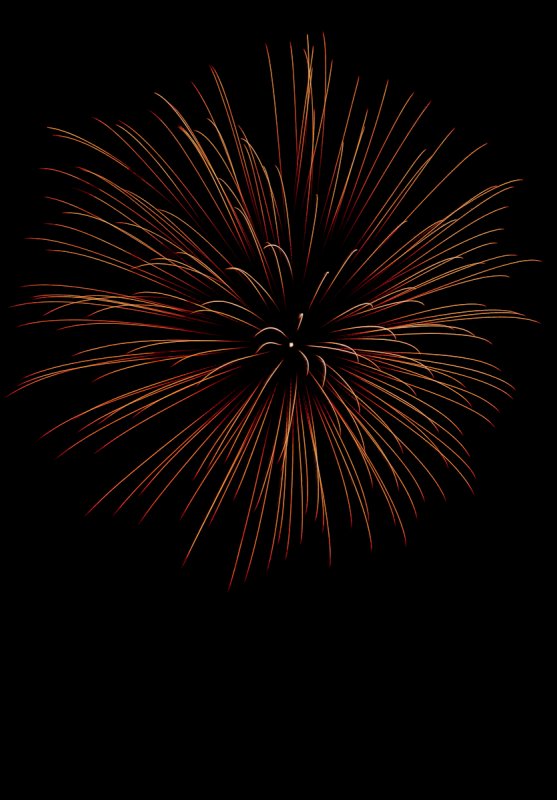 IMG_0520 Callaway Gardens Fireworks.jpg