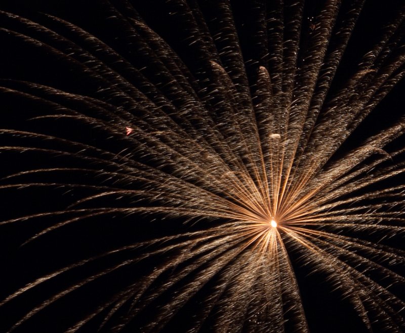 IMG_0522 Callaway Gardens Fireworks.jpg
