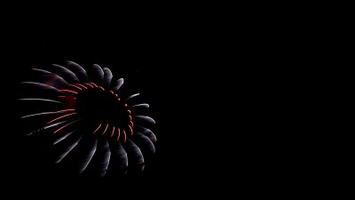 IMG_0496 fireworks_.jpg