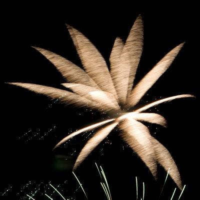 IMG_0615 fireworks_.jpg