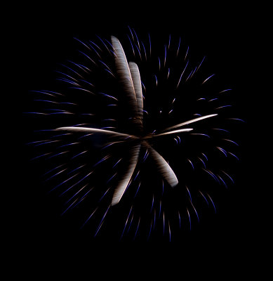 IMG_0339 Callaway Gardens Fireworks.jpg