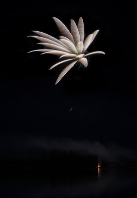 IMG_0357 Callaway Gardens Fireworks.jpg