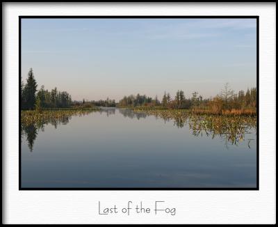 aIMG_0197.jpg