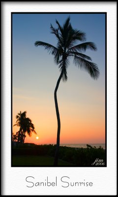 Flora & Fauna of Sanibel Island