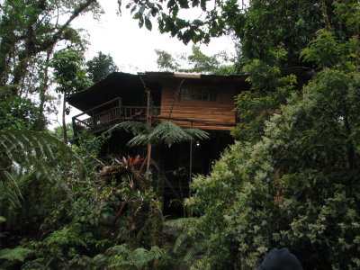 Los Quetzales - Cabin 8