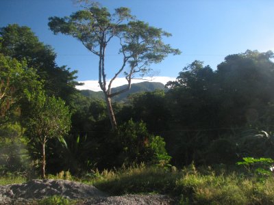 Finca Hartmann coffee plantation