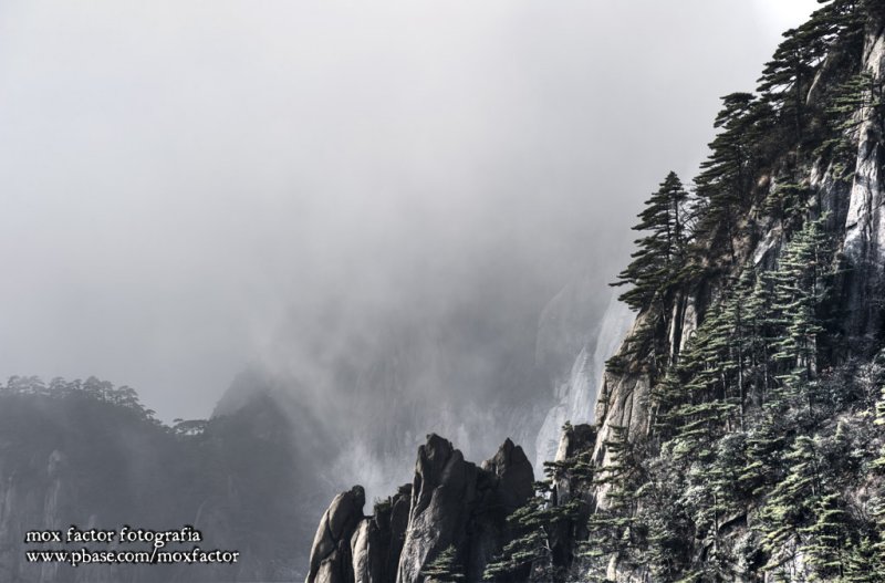 Where Gods Were Born