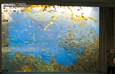 Notojima 能登島 - のとじま水族館 Notojima Aquarium