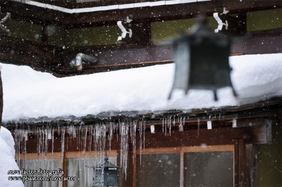 Shibu 渋温泉 - 金具屋 Kanaguya - view from patio