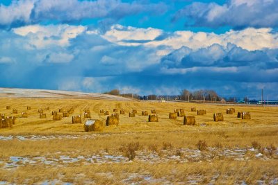 Winter Storm Brewing