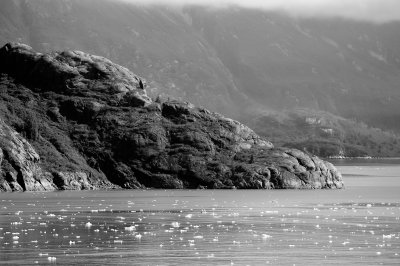 Tracy Arm 
