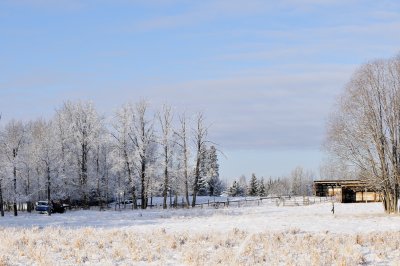 Frosty Farm Yard