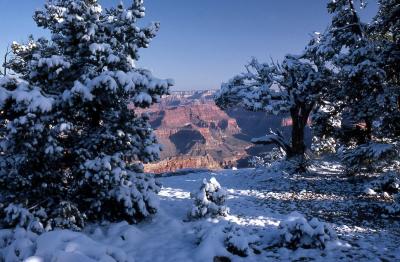 Grand Canyon-snow-7.jpg