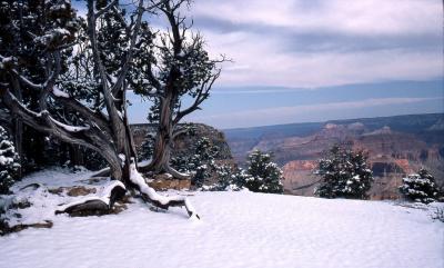Grand Canyon-snow-9.jpg