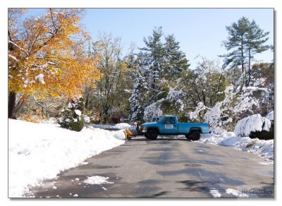 Snow Storm Damage 02.jpg