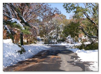 Snow Storm Damage 03.jpg