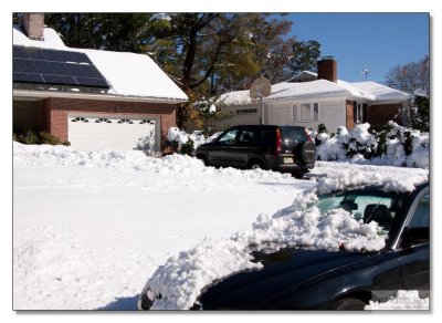 Snow Storm Damage 05.jpg