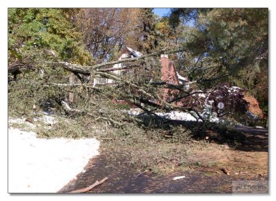 Snow Storm Damage 06.jpg