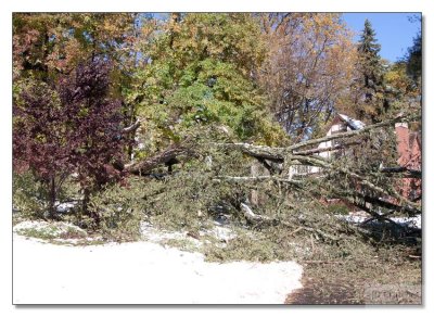 Snow Storm Damage 07.jpg