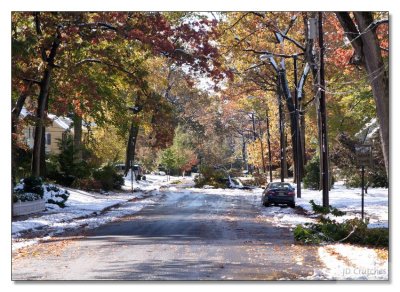Snow Storm Damage 10.jpg