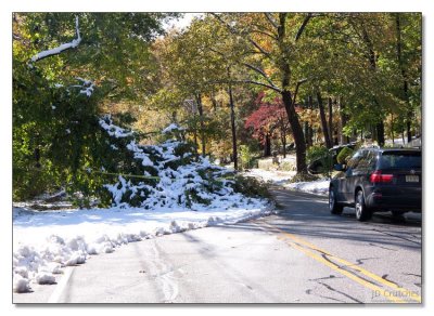 Snow Storm Damage 11.jpg