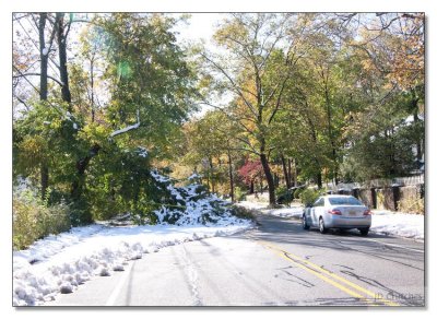 Snow Storm Damage 12.jpg