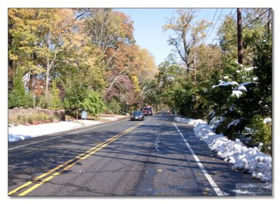 Snow Storm Damage 13.jpg