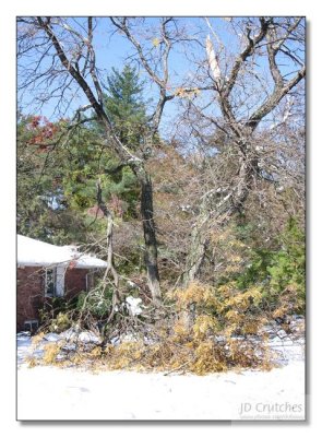 Snow Storm Damage 18.jpg