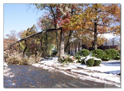 Snow Storm Damage 20.jpg