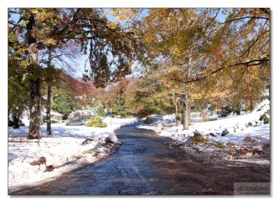 Snow Storm Damage 25.jpg