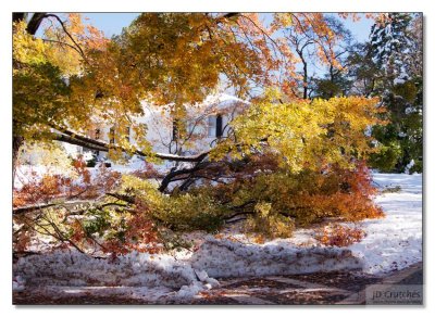 Snow Storm Damage 26.jpg