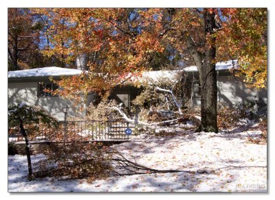 Snow Storm Damage 27.jpg