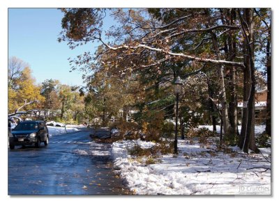 Snow Storm Damage 28.jpg