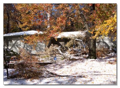 Snow Storm Damage 29.jpg
