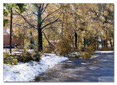 Snow Storm Damage 31.jpg