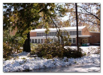 Snow Storm Damage 32.jpg